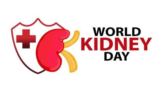 世界腎病日 北京佑安醫(yī)院健康咨詢活動與軟件開發(fā)在醫(yī)療中的創(chuàng)新應用